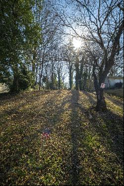 Vacant Lot Tucked Away in Joyland Park