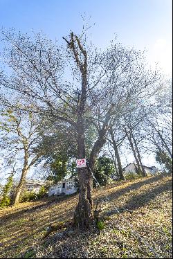 Vacant Lot Tucked Away in Joyland Park