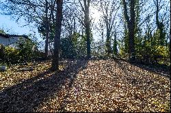 Vacant Lot Tucked Away in Joyland Park