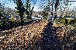 Vacant Lot Tucked Away in Joyland Park