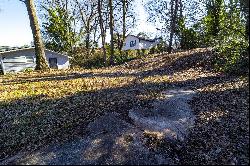 Vacant Lot Tucked Away in Joyland Park