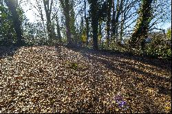 Vacant Lot Tucked Away in Joyland Park