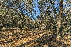 Falcon Ridge Road, Jackson, CA 95642