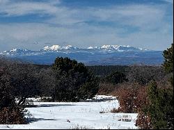 Mountain Views Framed By Vast Forest Lands