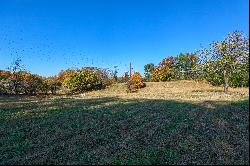 1170 Sand Hill Rd #LOT 3