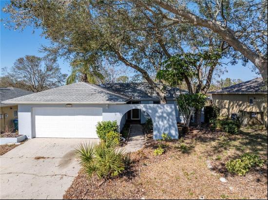 2609 Ridge Lane, PALM HARBOR, FL, 34684