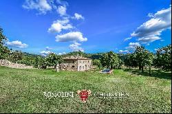 TUSCAN FARMHOUSE FOR SALE IN SIENA, ABBEY OF ST. GALGANO