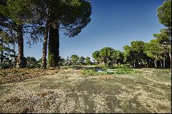 Exclusive plot in La Moraleja with views of Madrid and potential for residential and vine