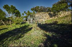 Exclusive plot in La Moraleja with views of Madrid and potential for residential and vine