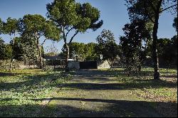 Exclusive plot in La Moraleja with views of Madrid and potential for residential and vine