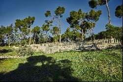 Exclusive plot in La Moraleja with views of Madrid and potential for residential and vine