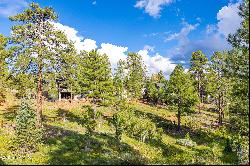 2669 E Telluride Drive, Flagstaff AZ 86004