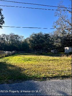 Josephine Street, Brooksville FL 34601