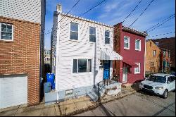 1111 Mary Ann St, South Side PA 15203