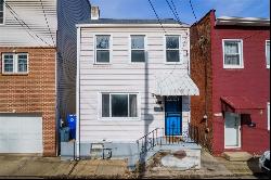 1111 Mary Ann St, South Side PA 15203