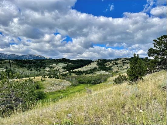 TBD Turnback Trail, Red Lodge MT 59068