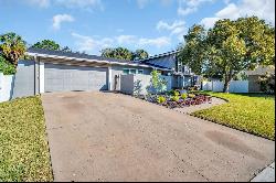 7115 Edenwood Place, Tampa FL 33615