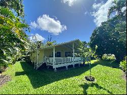 15-2795 NEHU ST,Pahoa, HI, 96778