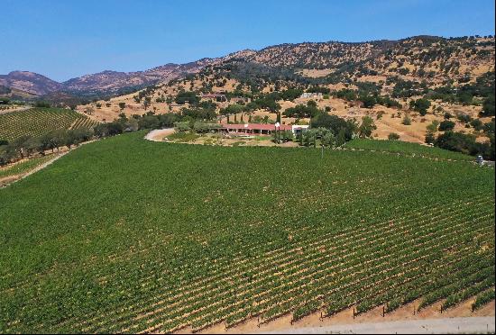 Storied Vineyard Estate with Panoramic Views