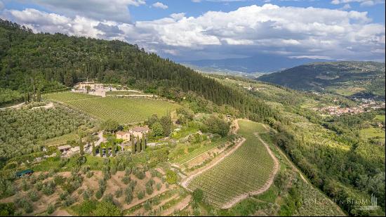 Winery Estate with restored Villa and olive grove – Fiesole, Firenze