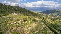 Winery Estate with restored Villa and olive grove – Fiesole, Firenze