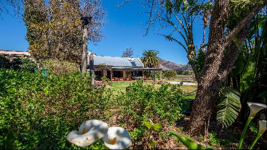 Timeless Elegance Meets Artisan Exclusive 53 Acers Estate with Wine Cellar, Vineyard