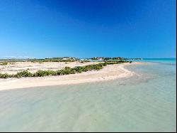 Beachfront, Turtle Tail