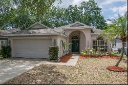 4620 Whispering Wind Avenue, TAMPA, FL, 33614