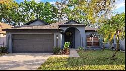 4620 Whispering Wind Avenue, TAMPA, FL, 33614