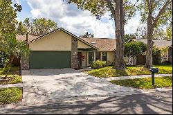 1740 Shady Leaf Drive, VALRICO, FL, 33596