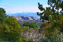 6710 El Montevideo, Rancho Santa Fe, CA 92067