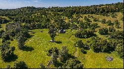 21101 Ostrom Road, Fiddletown, CA 95629