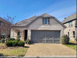 508 Wiltshire Boulevard, The Colony TX 75056