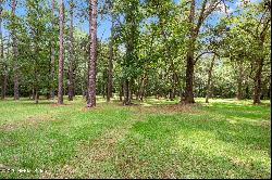 2061 Laurel Drive, Middleburg FL 32068