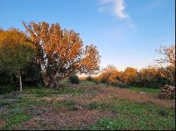 Cas Concos Finca, Felanitx, Mallorca, Spain, 07200