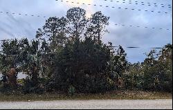 92 Pine Grove Drive, Palm Coast FL 32164