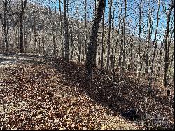 Lot 762 Scarlet Oak Road, Tuckasegee NC 28783