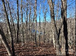 Lot 762 Scarlet Oak Road, Tuckasegee NC 28783