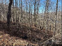 Lot 762 Scarlet Oak Road, Tuckasegee NC 28783