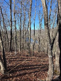 Lot 762 Scarlet Oak Road, Tuckasegee NC 28783