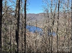 Lot 762 Scarlet Oak Road, Tuckasegee NC 28783