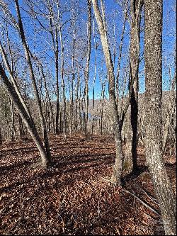 Lot 762 Scarlet Oak Road, Tuckasegee NC 28783