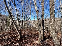 Lot 762 Scarlet Oak Road, Tuckasegee NC 28783