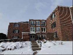 520 Biesterfield Road #302, Elk Grove Village IL 60007