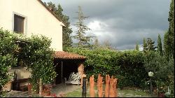 The White Country Villa with cottage and vineyard, Bucine – Tuscany