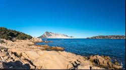 Villa Mirto sea-front with garden, San Teodoro - Sardinia