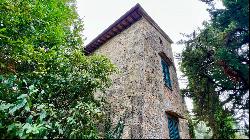 At the Cypress Shadow Country House, Cetona, Siena - Tuscany