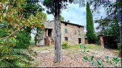 At the Cypress Shadow Country House, Cetona, Siena - Tuscany