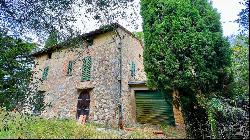 At the Cypress Shadow Country House, Cetona, Siena - Tuscany