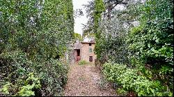 At the Cypress Shadow Country House, Cetona, Siena - Tuscany